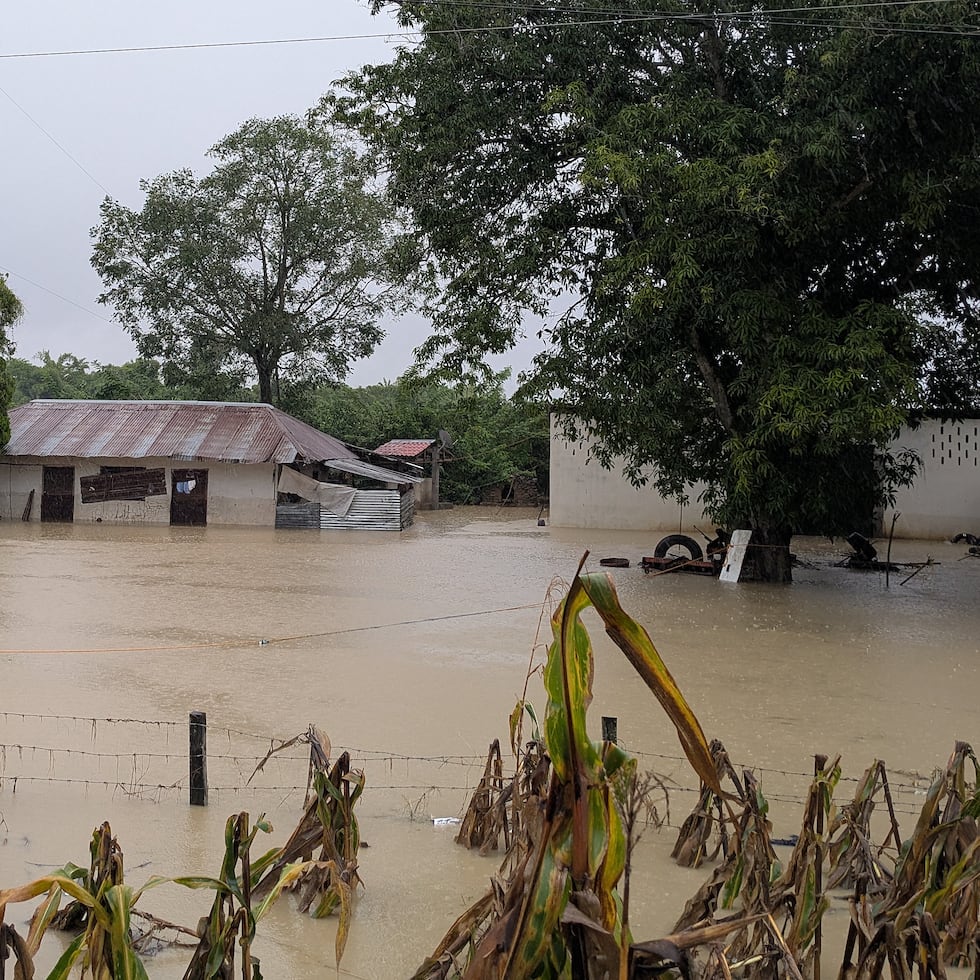 Una vivienda es afectada por las fuertes lluvias este viernes, en la comunidad de Alamo, en el estado de Veracruz, en México.
