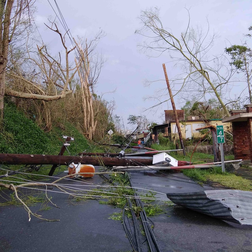 El huracán María provocó, a partir del 20 de septiembre de 2017, una catástrofe en Puerto Rico.