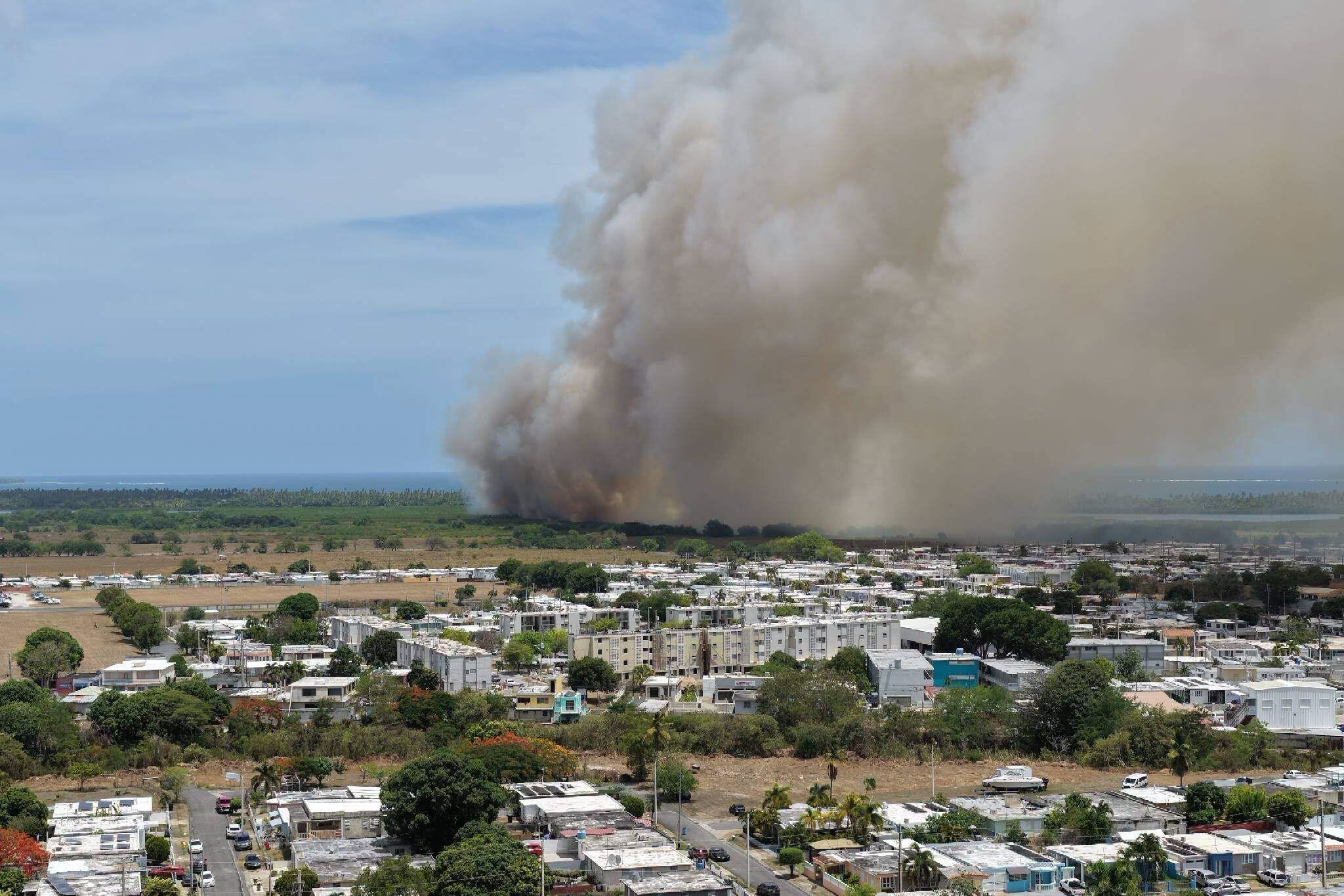 Imagen de la cobertura de: Bomberos extinguen incendio forestal en Arroyo tras operativo interagencial