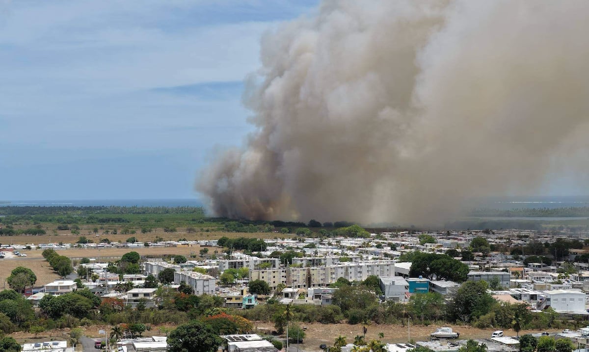 Bomberos combaten incendio forestal cerca del balneario de Arroyo