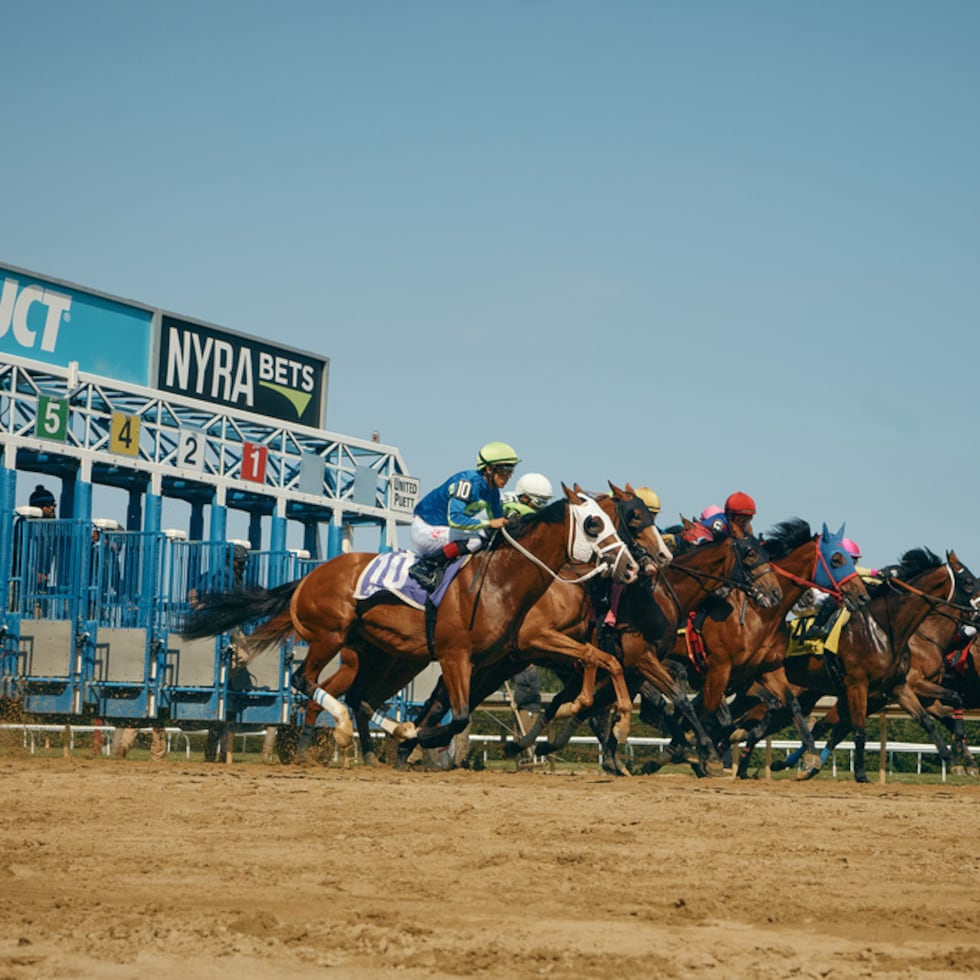 Los caballos salen desde el partidor durante una carrera en la jornada de cierre del hipódromo Aqueduct, ubicado en el distrito de Queens, Nueva York.