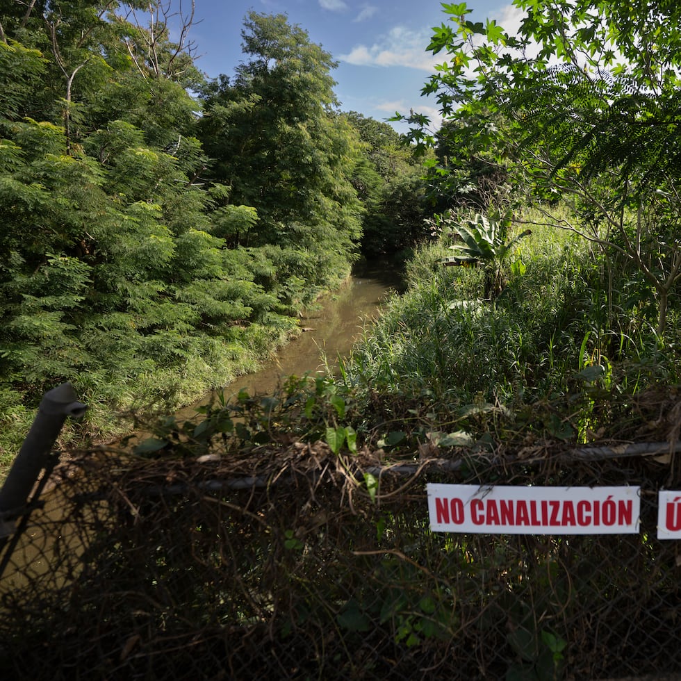 La idea de canalizar el río Piedras se ha propuesto desde finales de la década de 1970, sin que se haya podido concretar ante deficiencias de financiamiento federal y la fuerte oposición comunitaria.