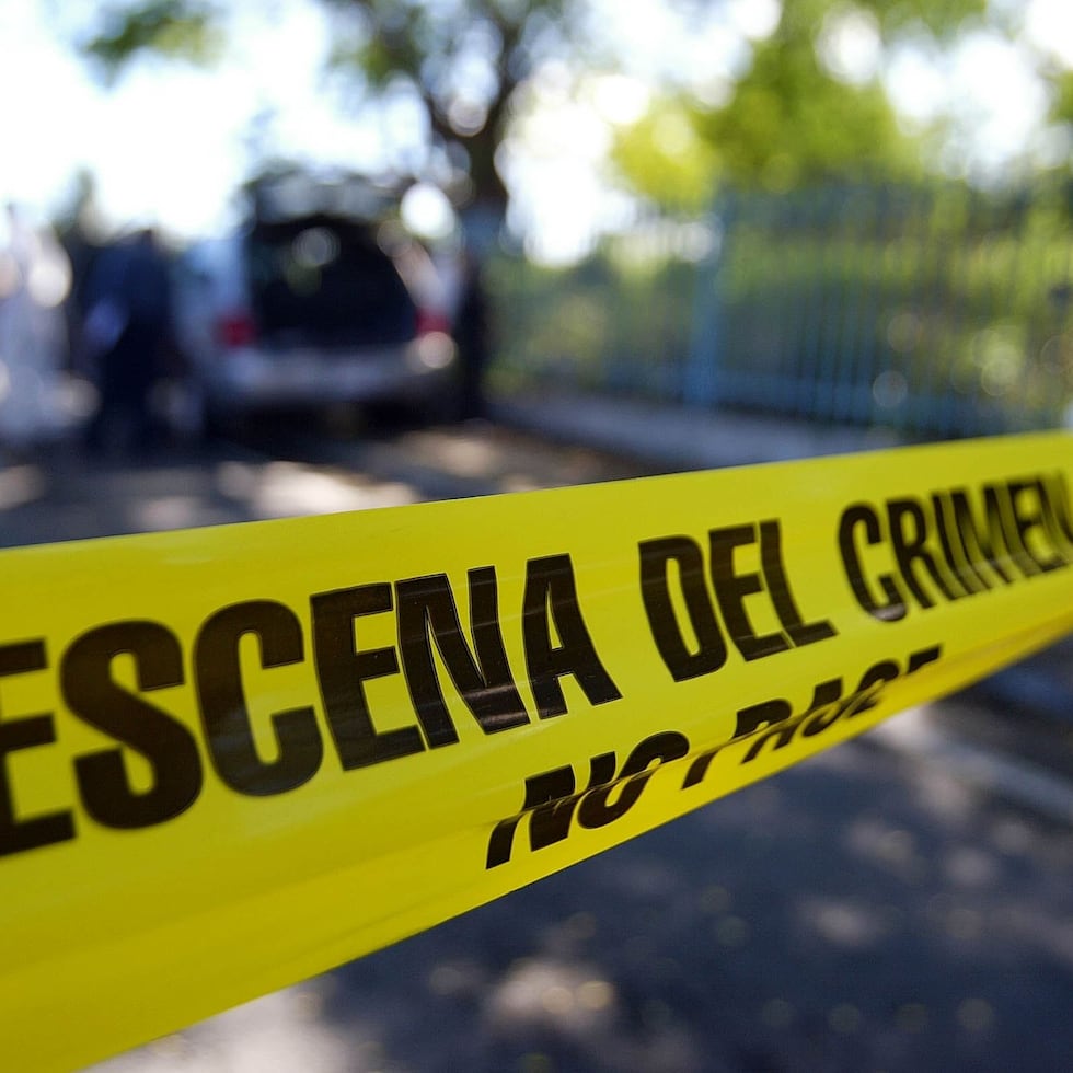 El cadáver apareció tirado en la carretera PR-951.