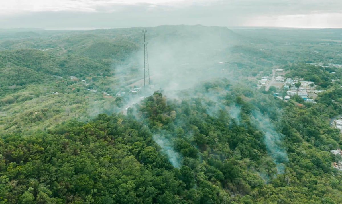 “Bandera roja” en San Germán: autoridades advierten sobre riesgo de incendios forestales