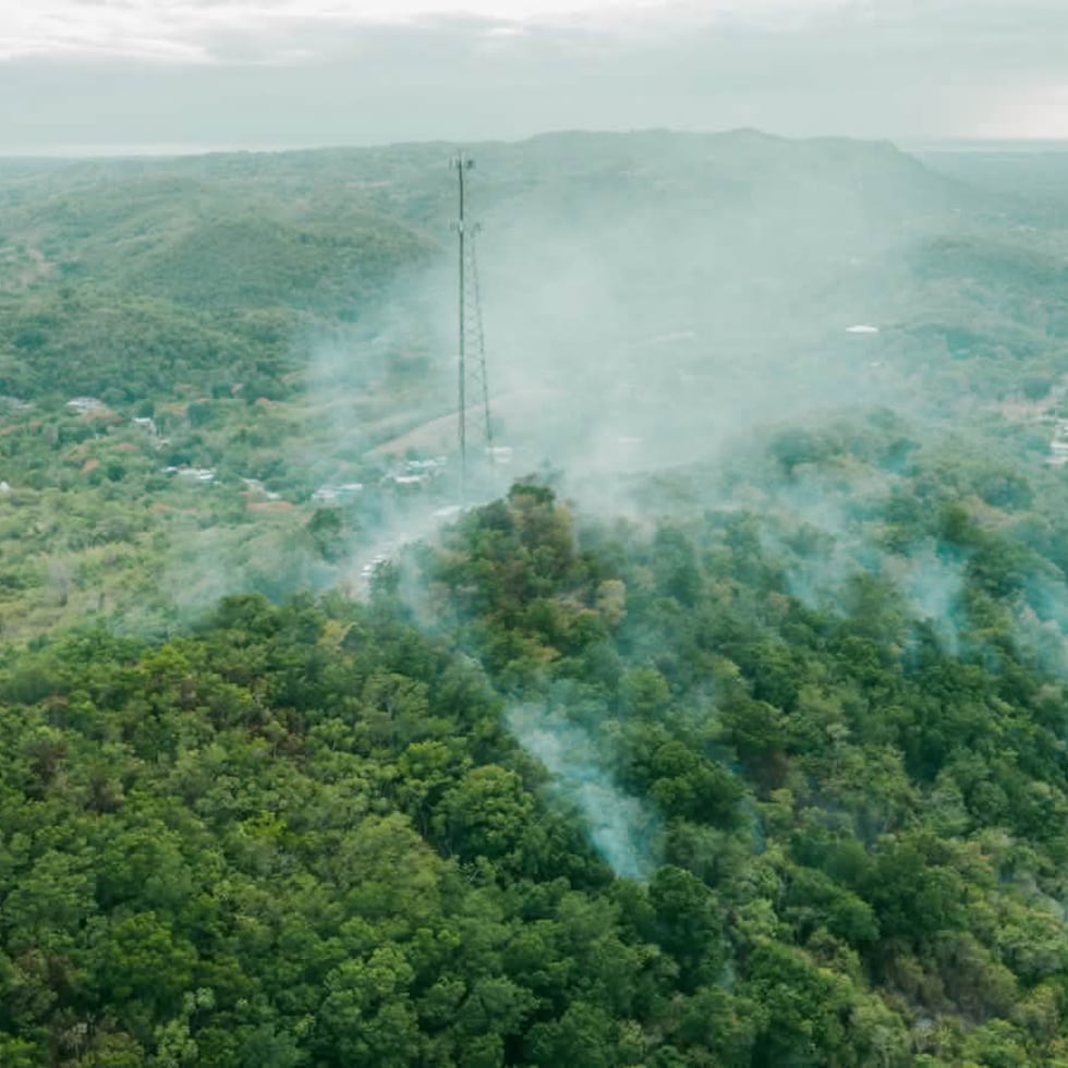 El alcalde de San Germán informó que sectores del barrio Guamá, y El Retiro son dos de los sitios que protagonizan los incendios forestales.