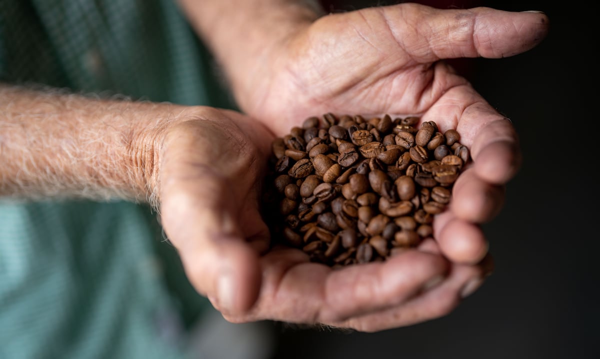 Cámara pondera trasladar regulación de precios del café de DACO a Agricultura