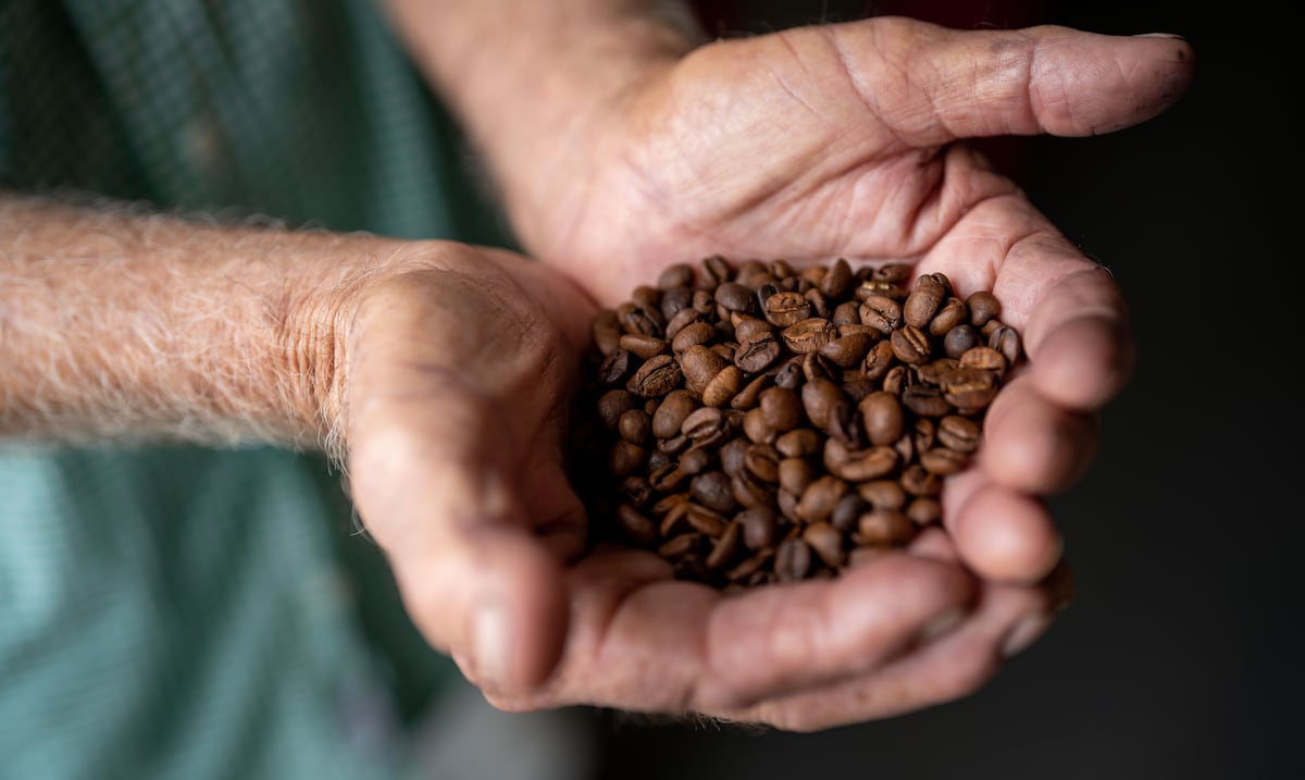DACO sube precio mínimo del café en Puerto Rico con nueva orden vigente desde noviembre