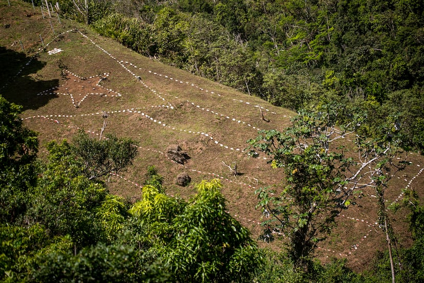 Desde la carretera 174 se puede ver una bandera de Puerto Rico hecha de pedacitos de troncos de árboles.