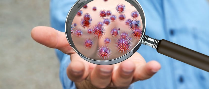 El científico ha estudiado la relación entre la obesidad y la población de microbios y su material genético presente en distintos ecosistemas del cuerpo. (Shutterstock)
