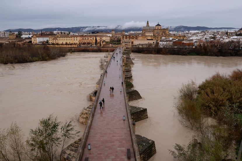The Guadalquivir River overflows its banks as it passes through Cordoba, in southern Andalusia, Spain, Wednesday, Feb. 4, 2026, as heavy rains across the country cause flooding in the region. (Madero Cubero/Europa Press via AP)