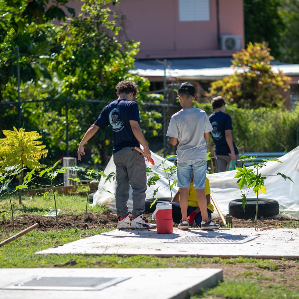 La Escuela Secundaria Montessori Alejandro Tapia y Rivera, en Lajas, cuenta con un proyecto agricultura en sus predios.