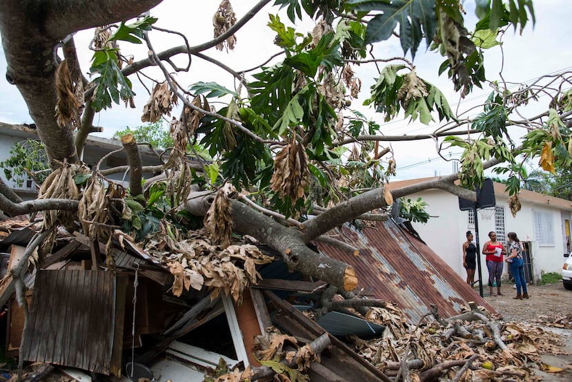 Ayer, Rosselló Nevares anunció que había solicitado agregar esos 15 municipios a la declaración presidencial federal de desastre, aprobada el pasado 10 de septiembre tras el paso cercano del huracán Irma.