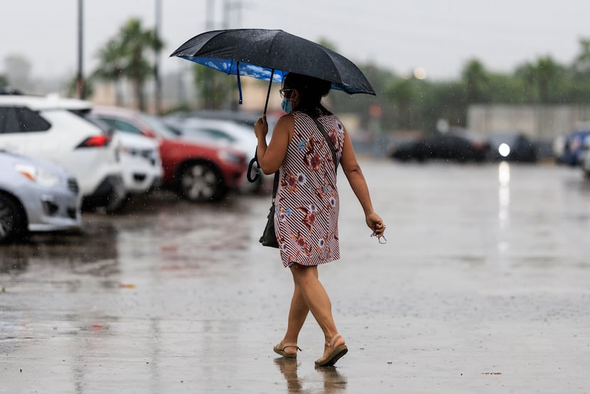 The rainfall pattern will be between rain and showers.