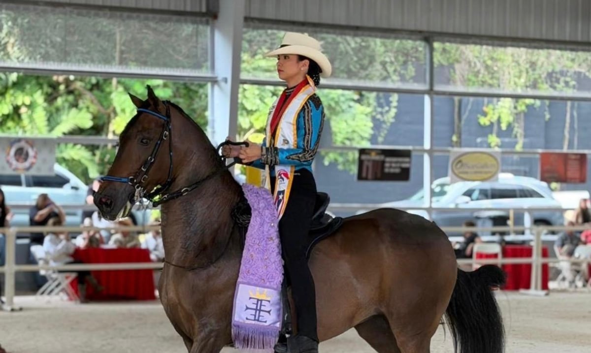 70 jóvenes jinetes representarán a Puerto Rico en Mundial de Caballos de Paso en R. Dominicana