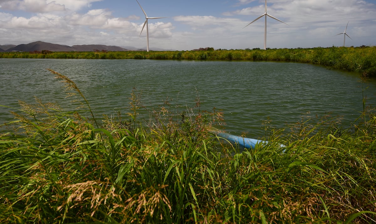 Sequía extrema amenaza Acuífero del Sur; DRNA evalúa cierre de pozos