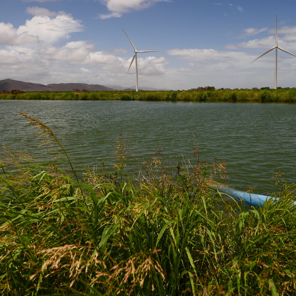 File photo of a retention pond in the Southern Aquifer, a system that supplies water to a population of nearly 130,000 people in Ponce, Juana Díaz, Santa Isabel, Coamo, Salinas, Guayama and Arroyo.