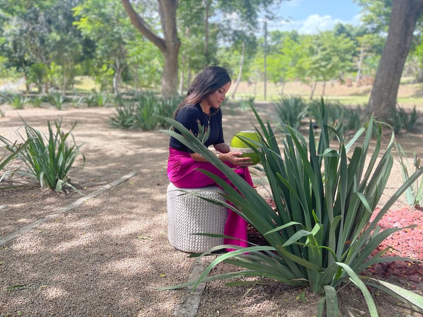 Disponer de las cenizas de un ser querido en un jardín ecológico podría ayudar en el proceso de duelo.