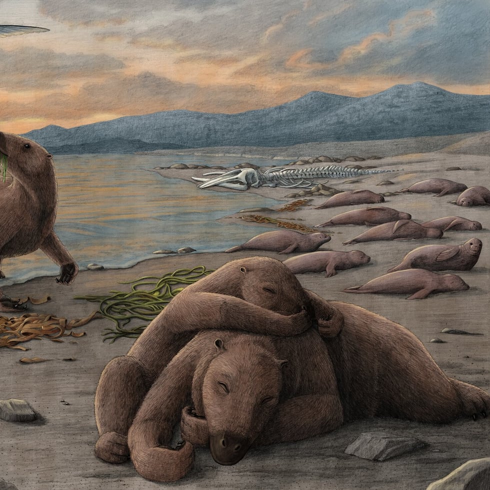 Los huesos del perezoso fósil son mucho más densos y pesados que los de los actuales.