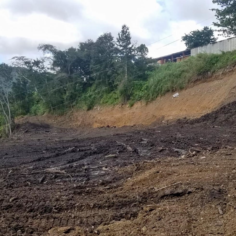 El trabajo estuvo enfocado en la remoción da capas de tierra y de material vegetativo caído por el paso del huracán María. (Suministrada)