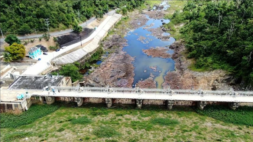 La limpieza o remoción mecánica de vegetación en el embalse Carraízo, principalmente jacintos o lirios acuáticos, estará a cargo de la empresa Caribbean Composting, Inc.