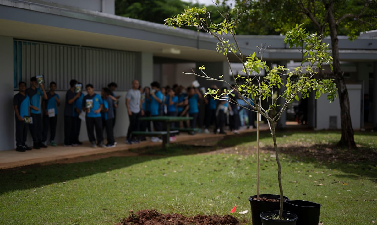 Educación lista para inicio de clases el jueves pese a crisis de agua en varios municipios
