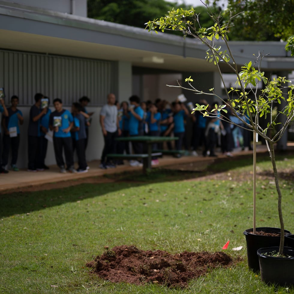 El año escolar comenzó este lunes con la llegada del personal escolar a las escuelas.