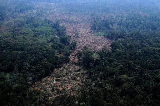 El Amazonas al borde del peligro: las elecciones en Brasil podrían contribuir a definir su futuro