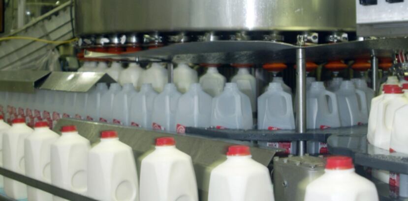 Un grupo de empleados logró paralizar la máquina que se utiliza para mover las cajas plásticas de color rojo en el que se transportan los envases de leche fresca para colocarlos en los camiones que las distribuyen a los establecimientos comerciales. (Archivo)