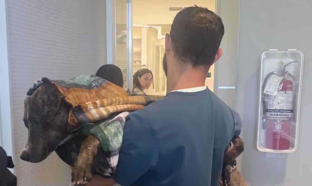 Tribunal encuentra causa para arresto de sospechoso por tiroteo mortal en Quebradillas