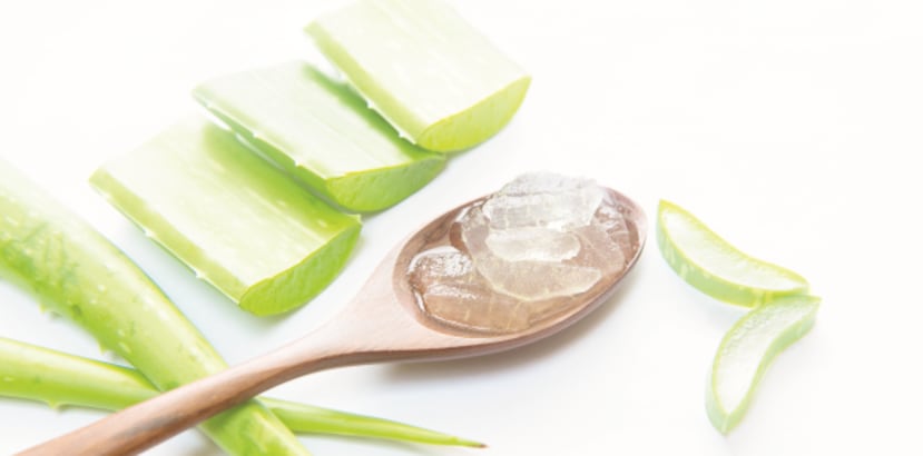 La sábila sirve como calmante, cicatrizante, humectante y regeneradora. Además, funciona como un potente antiviral. (Archivo)