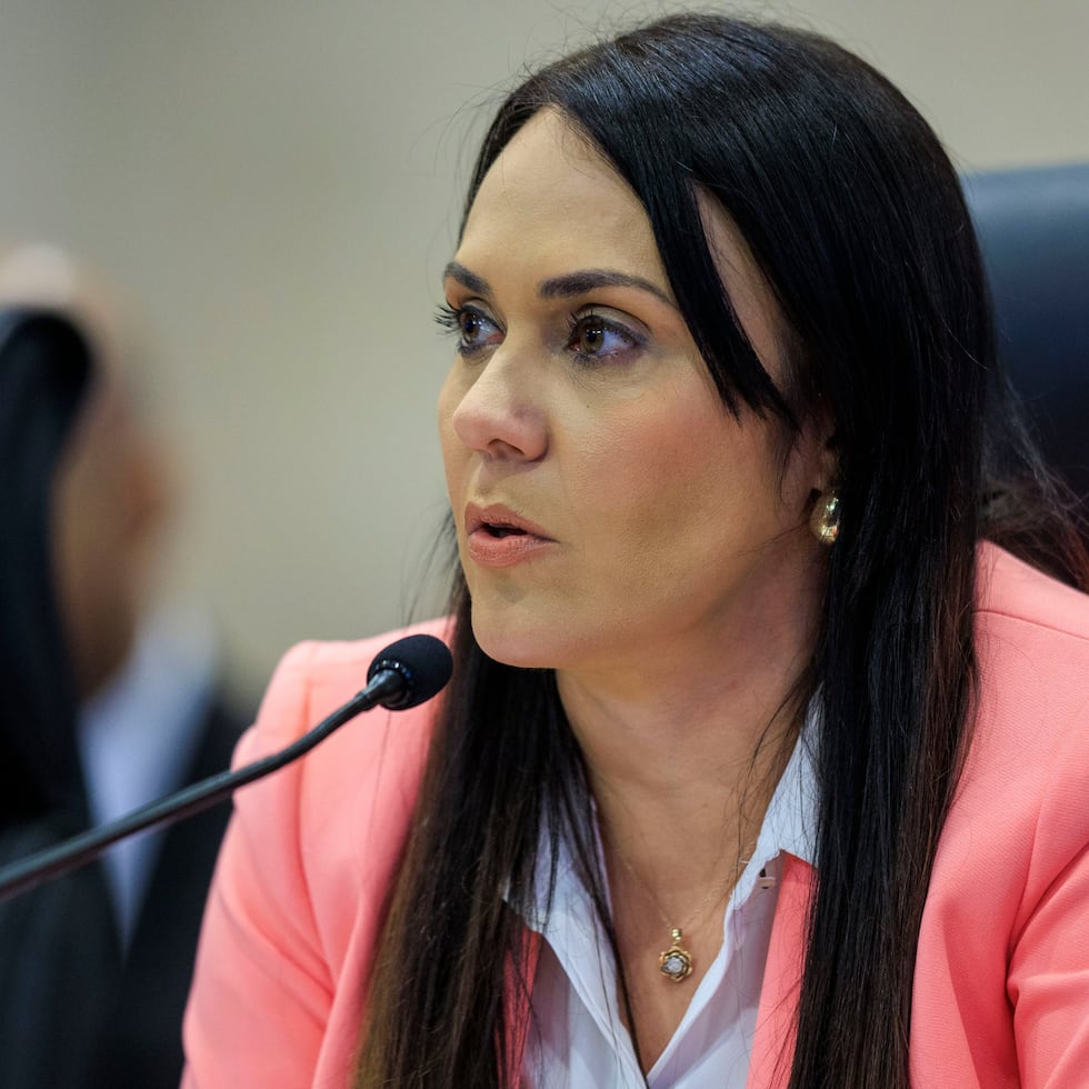 Inspector General Ivelisse Torres Rivera stated that an amendment to the Anti-Corruption Code for the New Puerto Rico (Law 84 of 2025) prevents her from taking action on any matter already being handled by the Department of Justice or the Office of the FEI Panel.