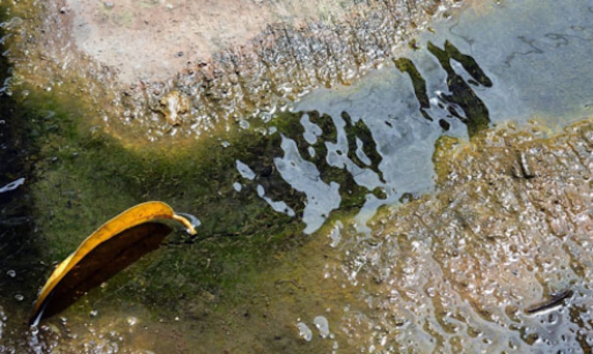 AAA habilita línea telefónica para reportar salideros de agua en Puerto Rico