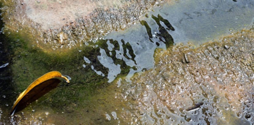Otra de las acciones de la AAA para reducir la pérdida del agua es un programa de reparación de hidrantes. (Archivo)