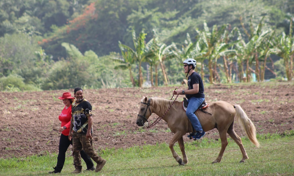Finca en Ciales ofrece terapias ecuestres para niños y adultos con diversidad funcional