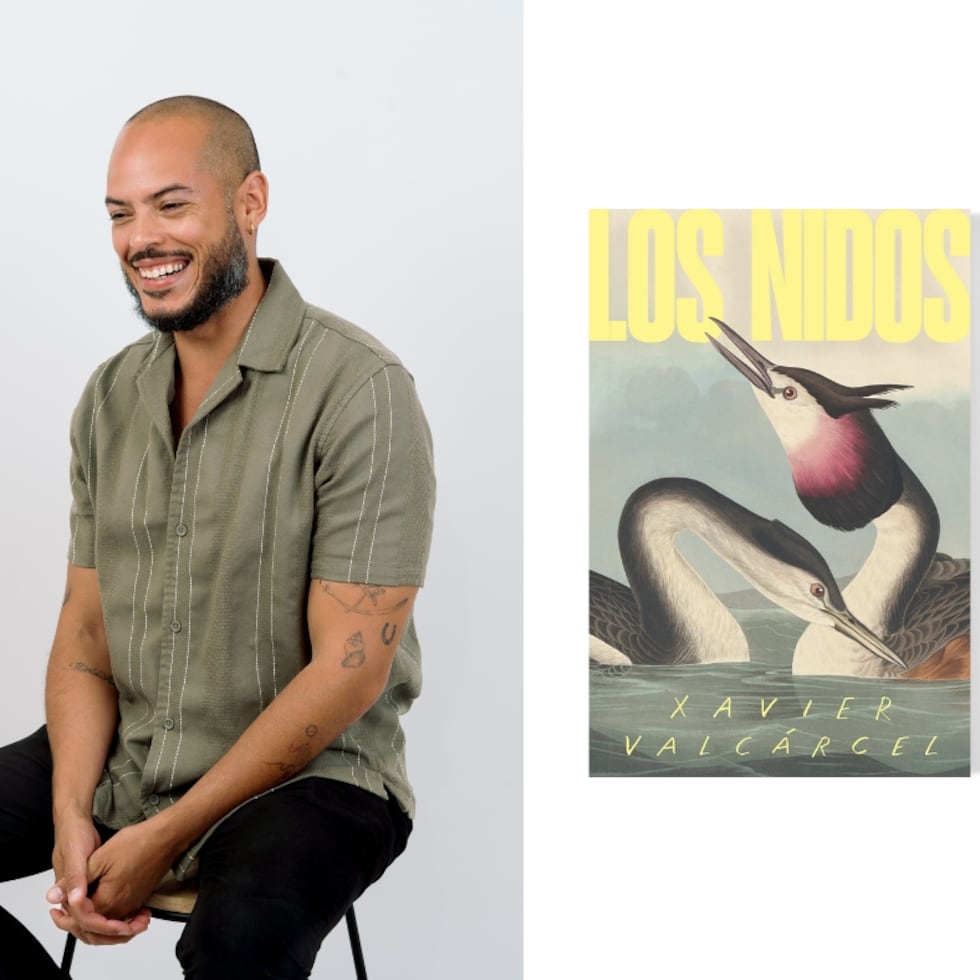 "Los nidos" es la primera novela de Xavier Valcárcel.