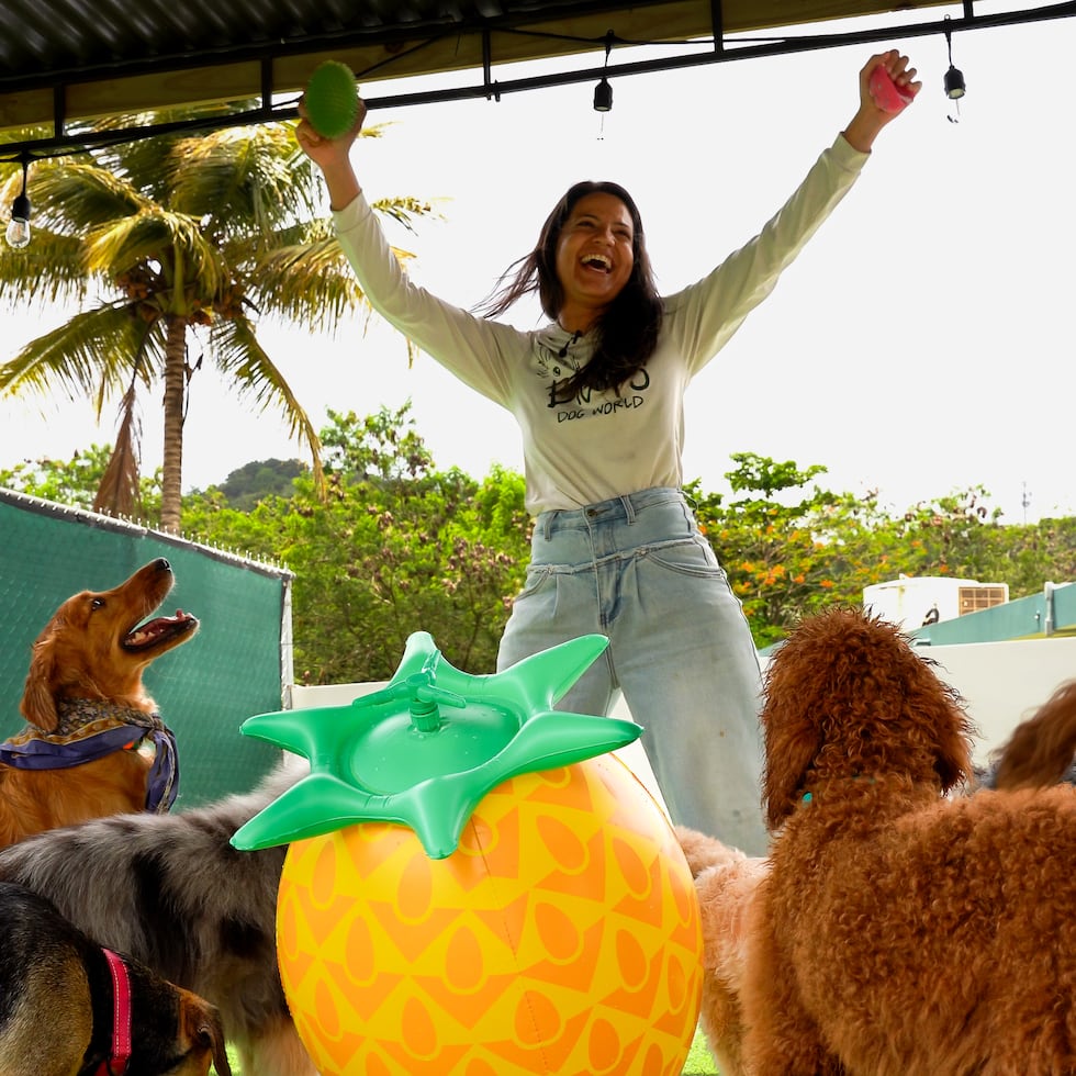 Jessica Contreras es la propietaria de Bigote's Dog World en Humacao, una hospedería para perros que también ofrece servicios de entrenamiento en obediencia.