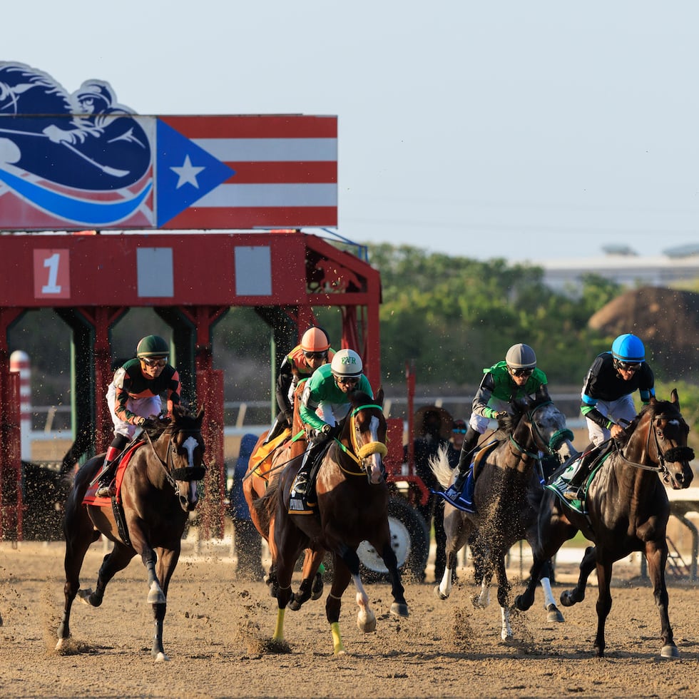 El Hipódromo Camarero será sede en diciembre de la Serie Hípica del Caribe, que incluye el Clásico del Caribe como su prueba principal.