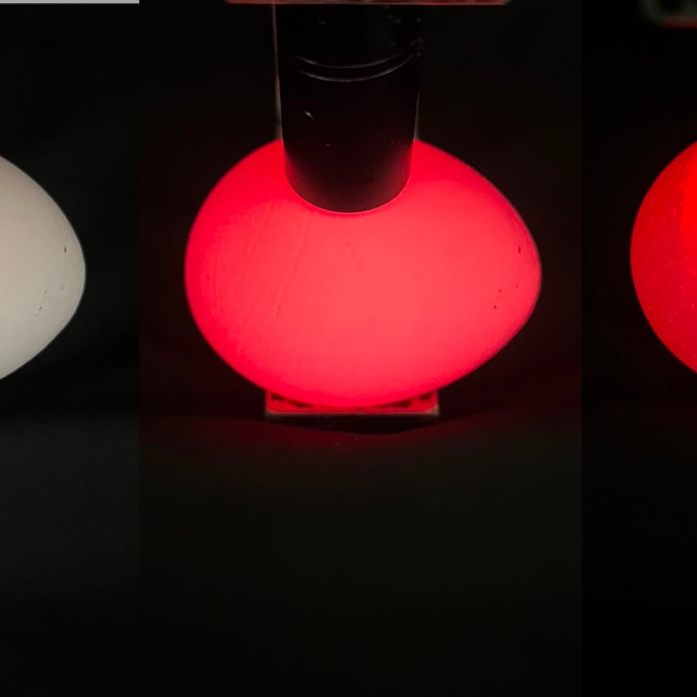 A la izquierda un huevo blanco bajo la luz ambiental; en el centro el mismo huevo tras retirar su contenido; y a la derecha muestra un huevo intacto de cáscara blanca (con yema)