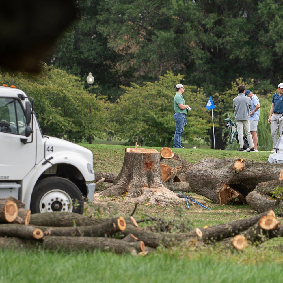 Árboles recién talados en el campo de golf East Potomac Golf Links, en Washington, el 10 de octubre del 2026. (AP foto/Nathan Howard)