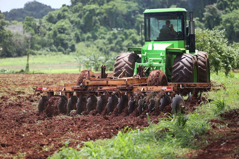 La medida legislativa tiene como fin la preservación de las tierras agrícolas para el desarrollo sustentable y económico de Puerto Rico. (Archivo / GFR Media)