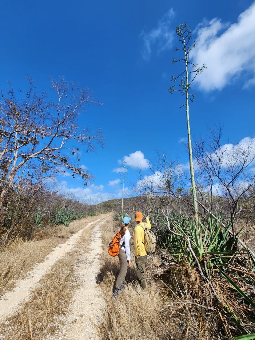 El Bosque Seco de Guánica, un lugar “lleno de vida, todo lo contrario a lo que uno asume cuando te hablan de un bosque seco”.