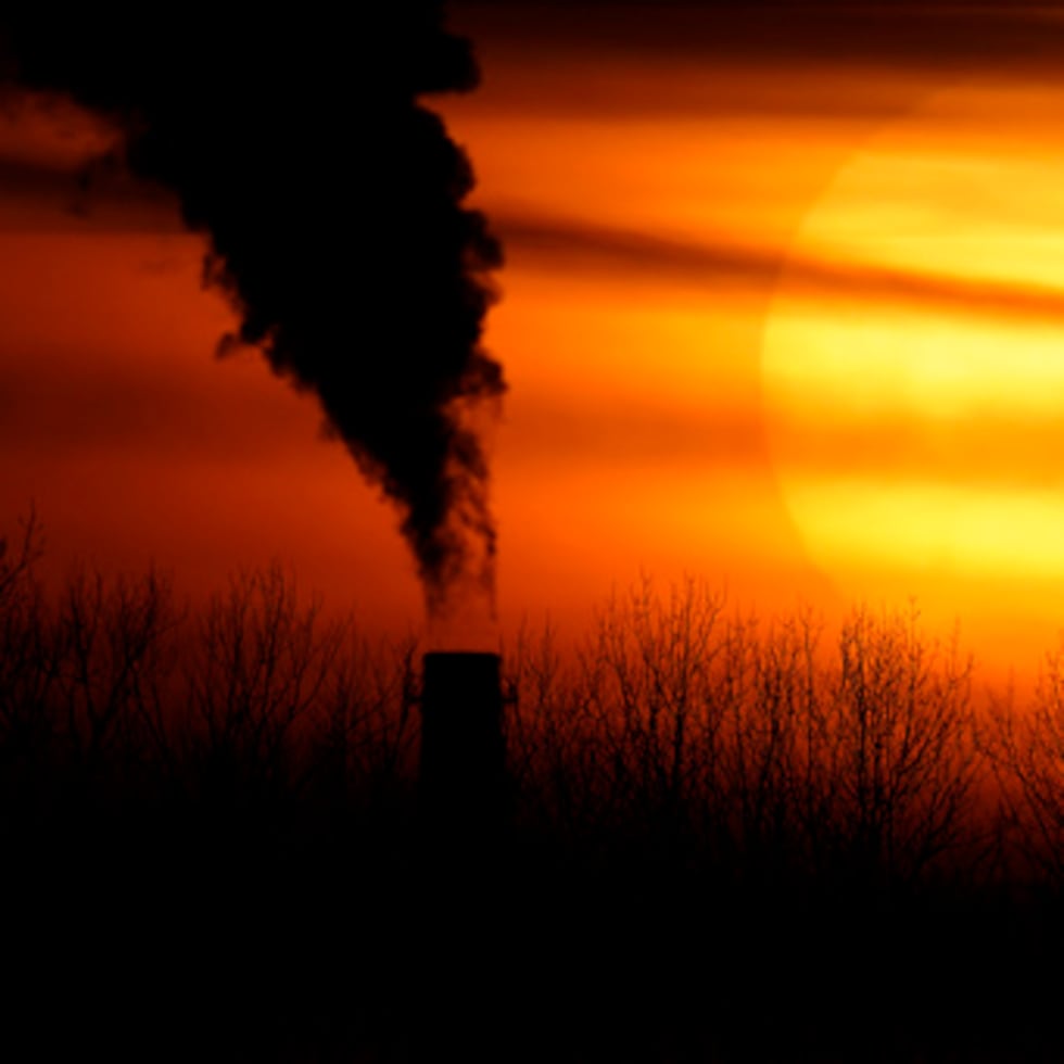 Los detalles del estudio, liderado por el Servicio Forestal de Estados Unidos (USFS, en inglés), un organismo del International Institute of Tropical Forestry, en Río Piedras, se han publicado este martes en la revista Nature Communications.