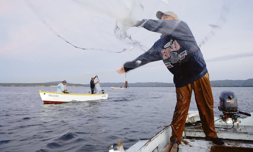 Entre los participantes en la pesca que pueden ser elegibles para el incentivo económico figuran los pescadores certificados, negocios de pesca comercial, negocios de pesca “charter”/por alquiler, operaciones de acuicultura calificadas, procesadores y otras empresas relacionadas con la pesca, como el cebo marino y los equipos marinos.