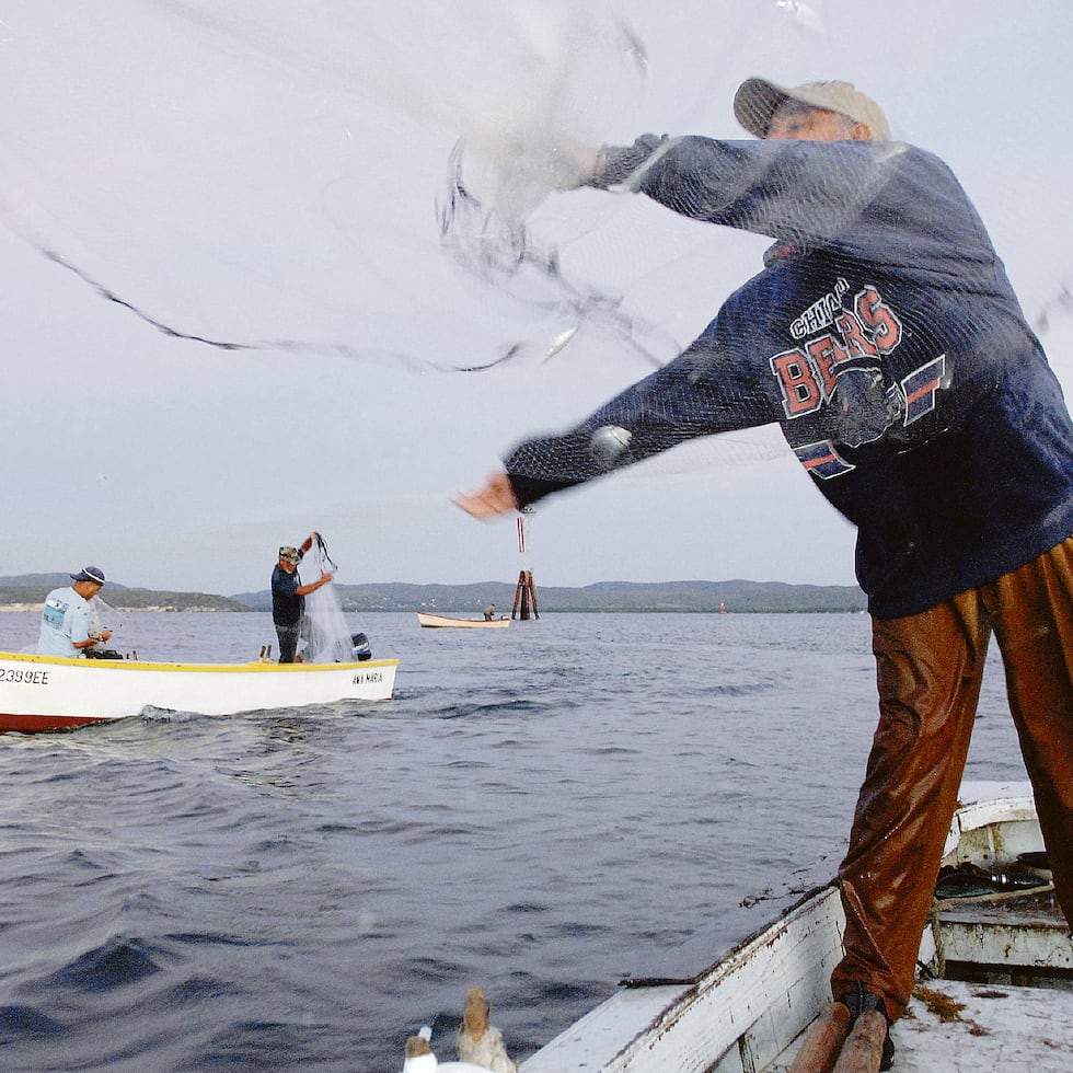 Quiles dijo que seguirán trabajando para atender, con premura, las necesidades de los pescadores.