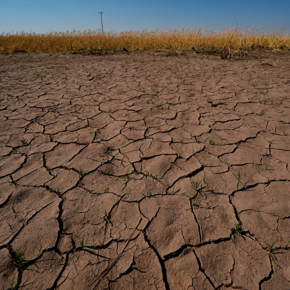 El Niño es un fenómeno climático que implica aguas más cálidas de lo normal en el Pacífico.