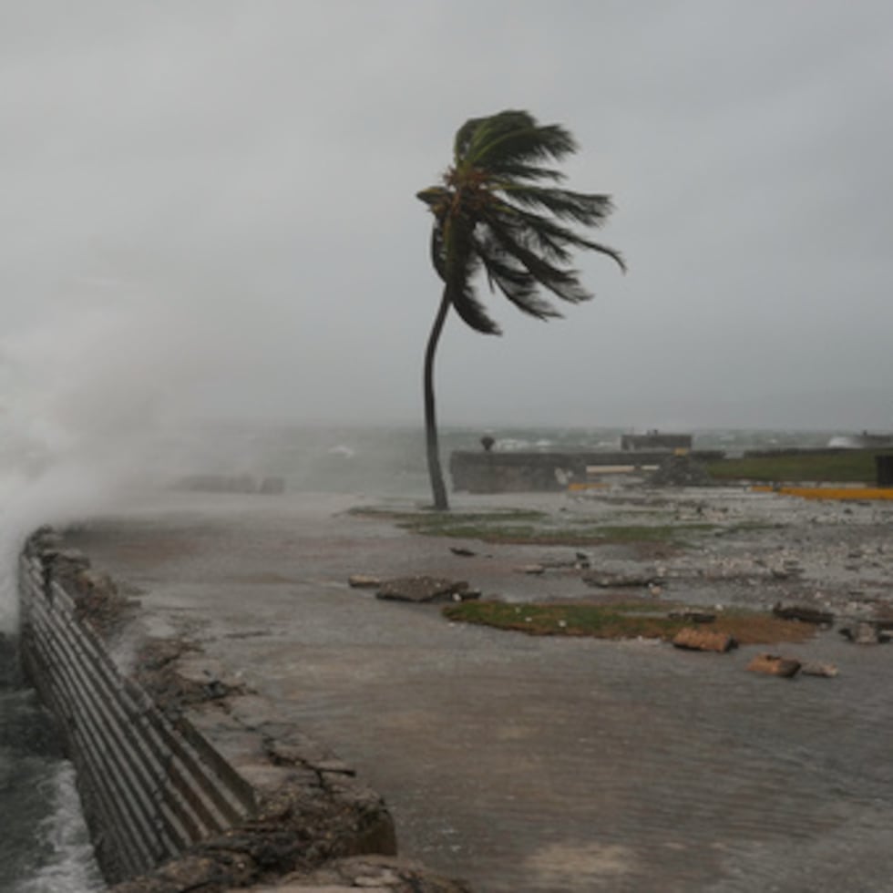 Estos videos y otros han acumulado millones de visitas en plataformas de redes sociales, incluidas X, TikTok e Instagram.