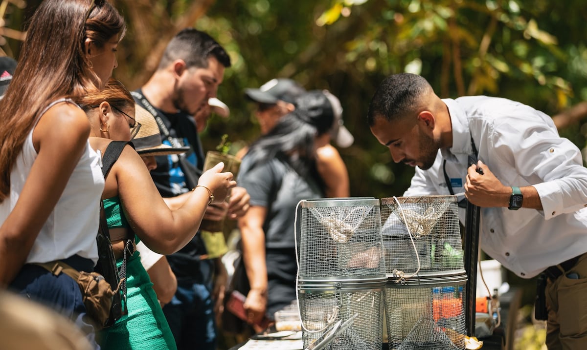 Regresa la Feria Para la Naturaleza en el Antiguo Acueducto del río Piedras