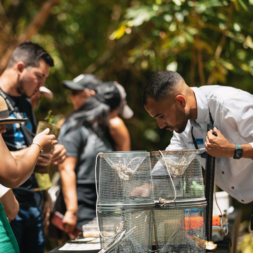 La Feria impulsa espacios de aprendizaje, intercambio y colaboración con grupos y comunidades vinculadas a la conservación.