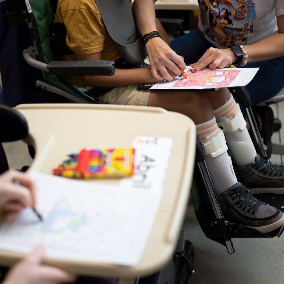 Los adiestramientos, que iniciaron en marzo, se extenderán hasta la próxima semana.