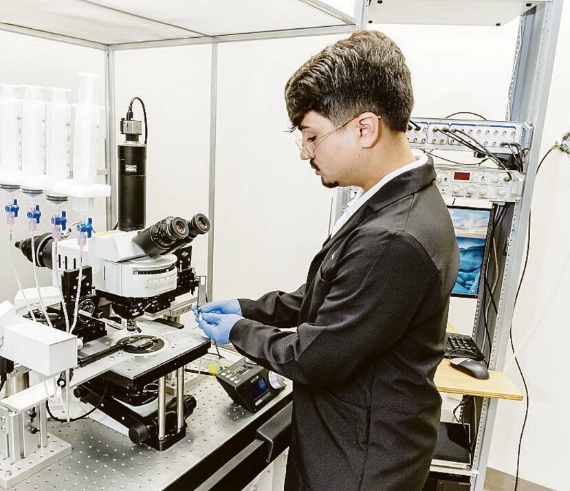 El Centro de Neuroplasticidad y Nanotecnología tiene colaboraciones con prestigiosos centros de investigación en universidades de Estados Unidos y con la industria farmacéutica.